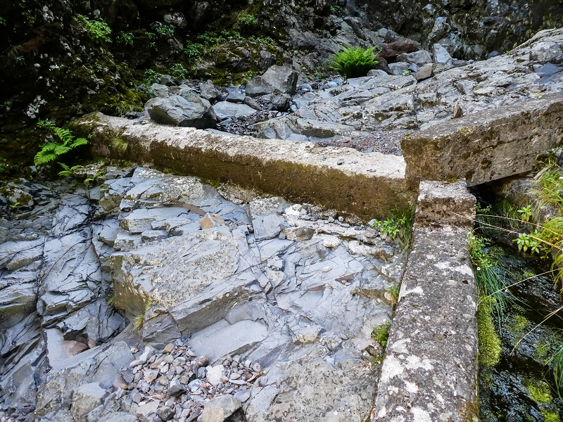 14.05.2019 Wieder einmal in einem meiner Lieblingsgebiete unterwegs: Faja da Nogueira — Zurück zur Madre in der Ribeira do Juncal — Foto 9