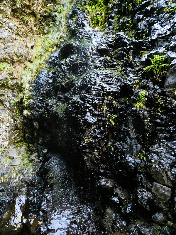 14.05.2019 Wieder einmal in einem meiner Lieblingsgebiete unterwegs: Faja da Nogueira — Zurück zur Madre in der Ribeira do Juncal — Foto 10