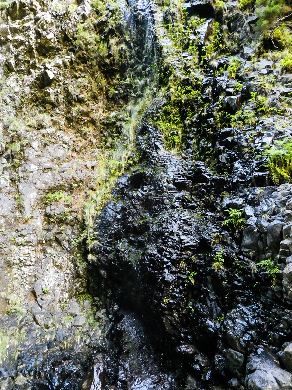 14.05.2019 Wieder einmal in einem meiner Lieblingsgebiete unterwegs: Faja da Nogueira — Zurück zur Madre in der Ribeira do Juncal — Foto 11