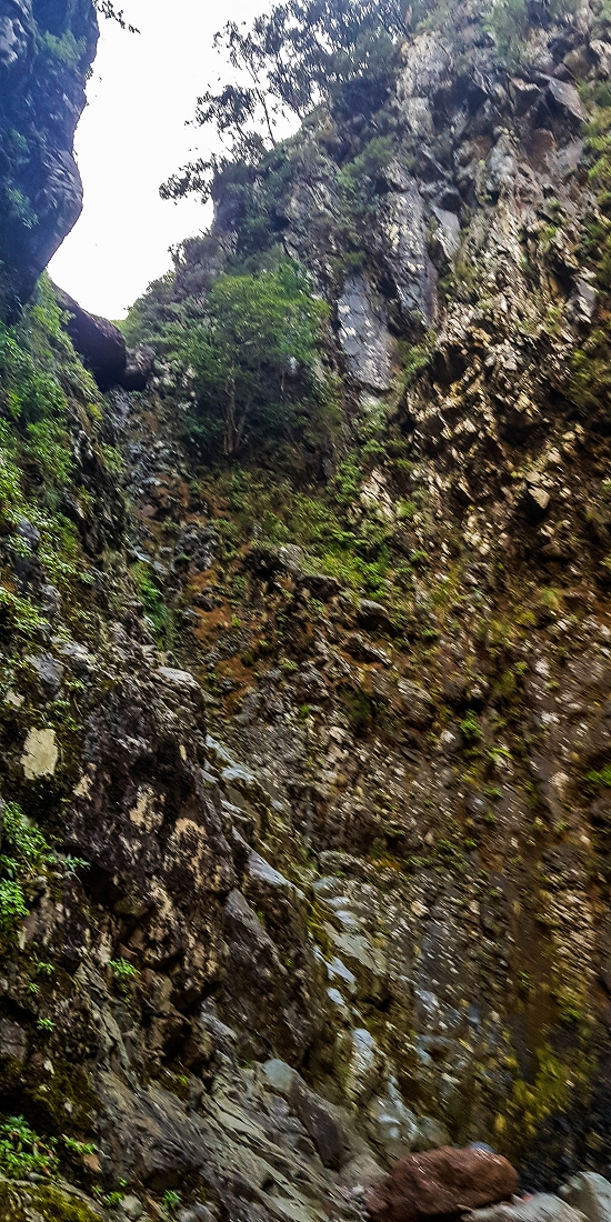 14.05.2019 Wieder einmal in einem meiner Lieblingsgebiete unterwegs: Faja da Nogueira — Zurück zur Madre in der Ribeira do Juncal — Foto 14