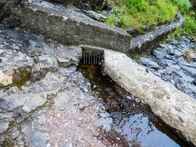 14.05.2019 Wieder einmal in einem meiner Lieblingsgebiete unterwegs: Faja da Nogueira — Zurück zur Madre in der Ribeira do Juncal — Foto 17