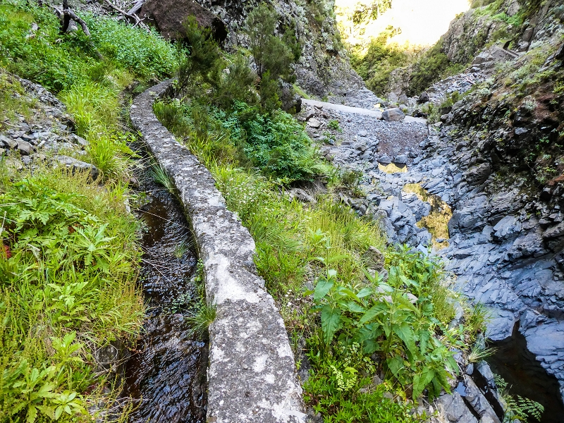 14.05.2019 Wieder einmal in einem meiner Lieblingsgebiete unterwegs: Faja da Nogueira — Zurück zur Madre in der Ribeira do Juncal — Foto 18