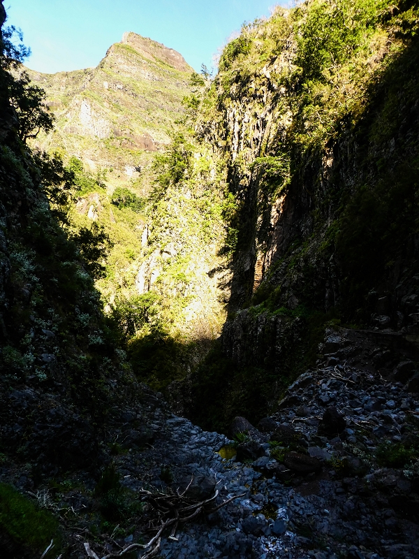 14.05.2019 Wieder einmal in einem meiner Lieblingsgebiete unterwegs: Faja da Nogueira — Zurück zur Madre in der Ribeira do Juncal — Foto 20
