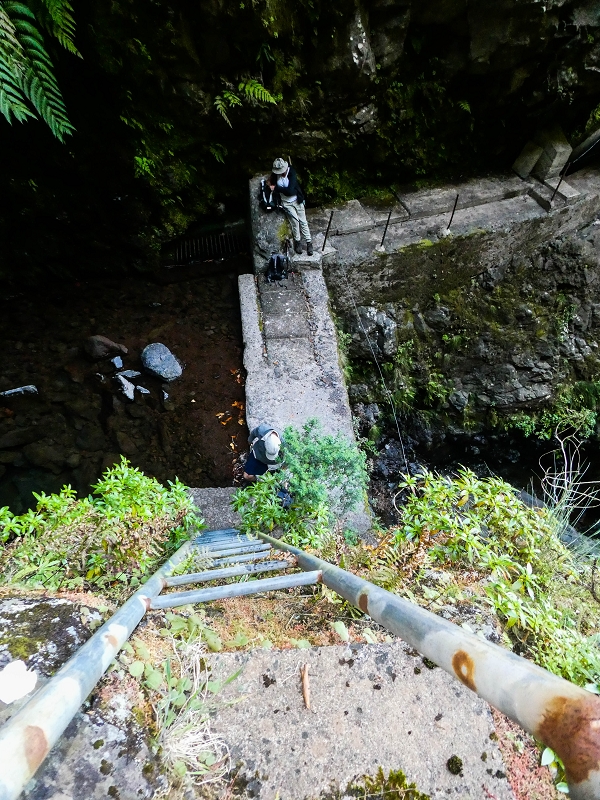 14.05.2019 Wieder einmal in einem meiner Lieblingsgebiete unterwegs: Faja da Nogueira — Die Leiter in den Caldeirao da Nogueira — Foto 1