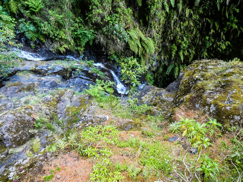 14.05.2019 Wieder einmal in einem meiner Lieblingsgebiete unterwegs: Faja da Nogueira — Die Leiter in den Caldeirao da Nogueira — Foto 3