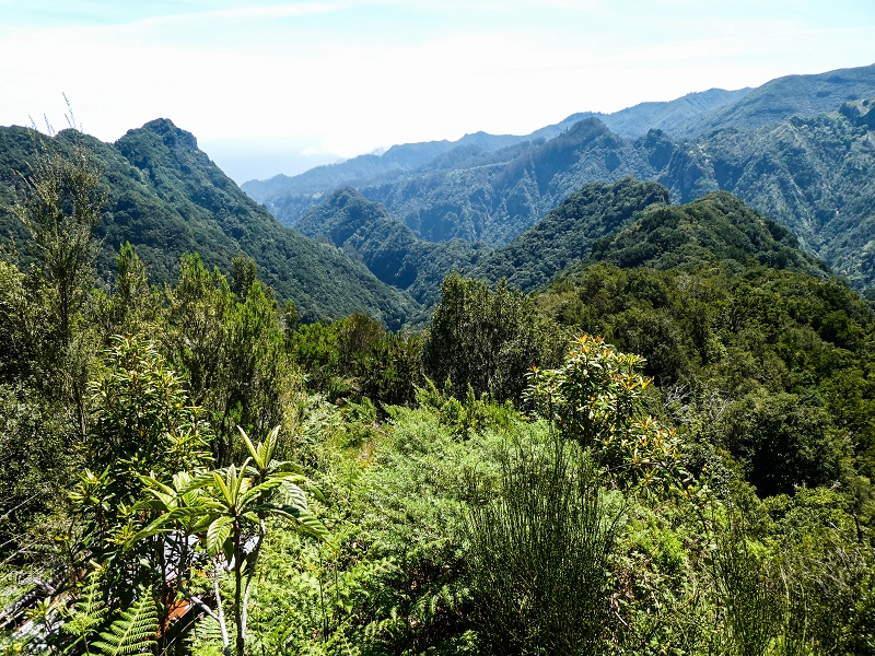 14.05.2019 Wieder einmal in einem meiner Lieblingsgebiete unterwegs: Faja da Nogueira — Auf der Levada bis zum Erdrutsch — Foto 1