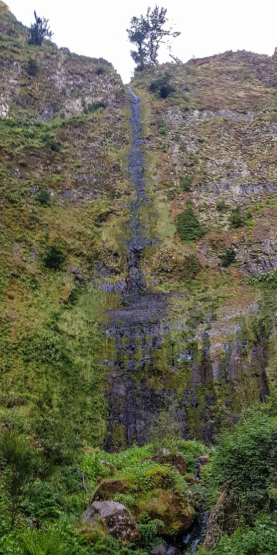 14.05.2019 Wieder einmal in einem meiner Lieblingsgebiete unterwegs: Faja da Nogueira — Die Leiter in den Caldeirao da Nogueira — Foto 5