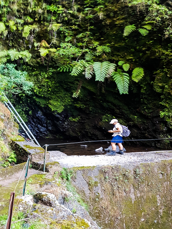 14.05.2019 Wieder einmal in einem meiner Lieblingsgebiete unterwegs: Faja da Nogueira — Die Leiter in den Caldeirao da Nogueira — Foto 7