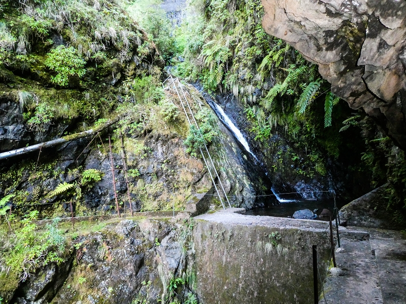 14.05.2019 Wieder einmal in einem meiner Lieblingsgebiete unterwegs: Faja da Nogueira — Die Leiter in den Caldeirao da Nogueira — Foto 9