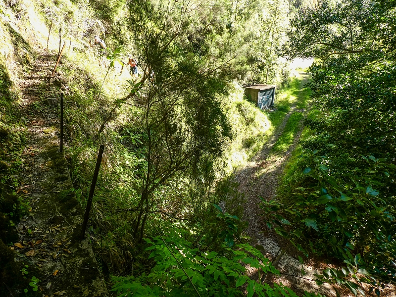 14.05.2019 Wieder einmal in einem meiner Lieblingsgebiete unterwegs: Faja da Nogueira — Zur Ladekammer und zum Miradouro — Foto 4