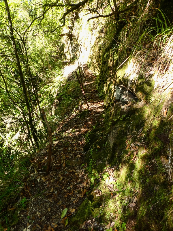 14.05.2019 Wieder einmal in einem meiner Lieblingsgebiete unterwegs: Faja da Nogueira — Zur Ladekammer und zum Miradouro — Foto 5