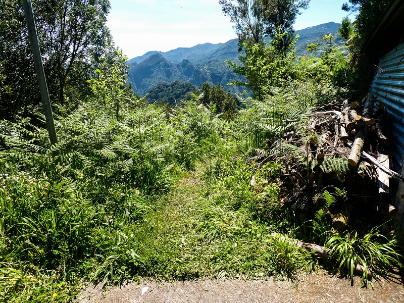 14.05.2019 Wieder einmal in einem meiner Lieblingsgebiete unterwegs: Faja da Nogueira — Auf der Levada bis zum Erdrutsch — Foto 2