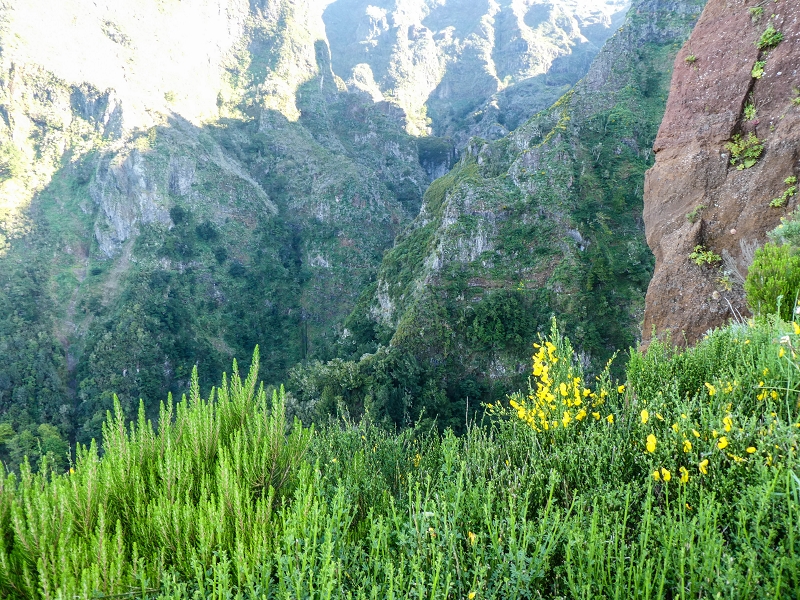 14.05.2019 Wieder einmal in einem meiner Lieblingsgebiete unterwegs: Faja da Nogueira — Zur Ladekammer und zum Miradouro — Foto 8