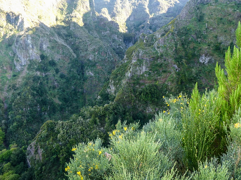 14.05.2019 Wieder einmal in einem meiner Lieblingsgebiete unterwegs: Faja da Nogueira — Zur Ladekammer und zum Miradouro — Foto 9