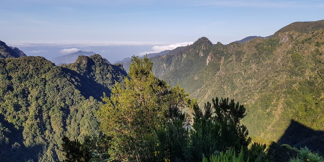 14.05.2019 Wieder einmal in einem meiner Lieblingsgebiete unterwegs: Faja da Nogueira — Zur Ladekammer und zum Miradouro — Foto 13