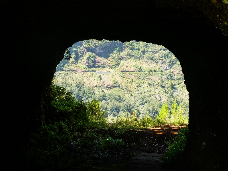 14.05.2019 Wieder einmal in einem meiner Lieblingsgebiete unterwegs: Faja da Nogueira — Auf der Levada bis zum Erdrutsch — Foto 3