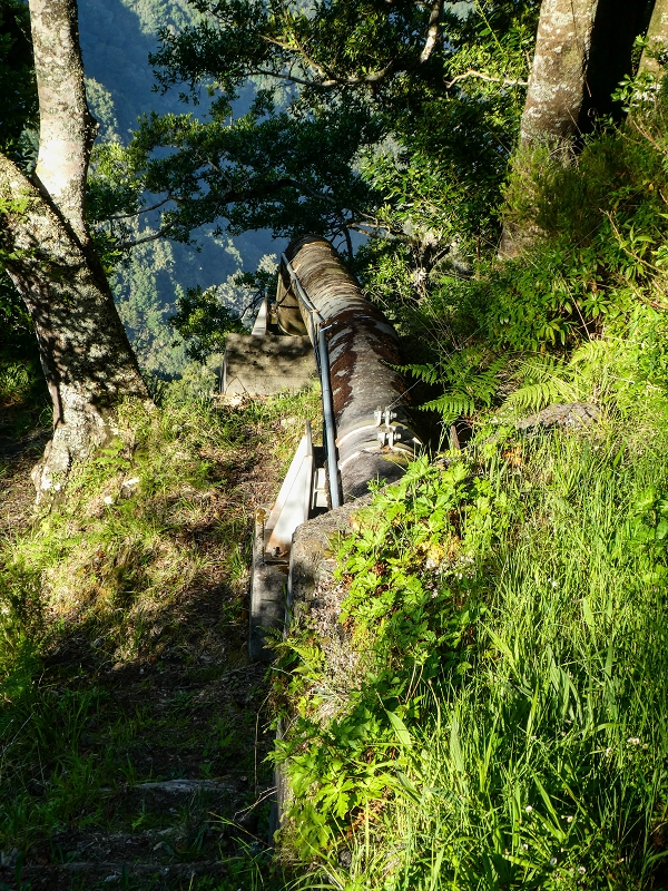 14.05.2019 Wieder einmal in einem meiner Lieblingsgebiete unterwegs: Faja da Nogueira — Zur Ladekammer und zum Miradouro — Foto 16