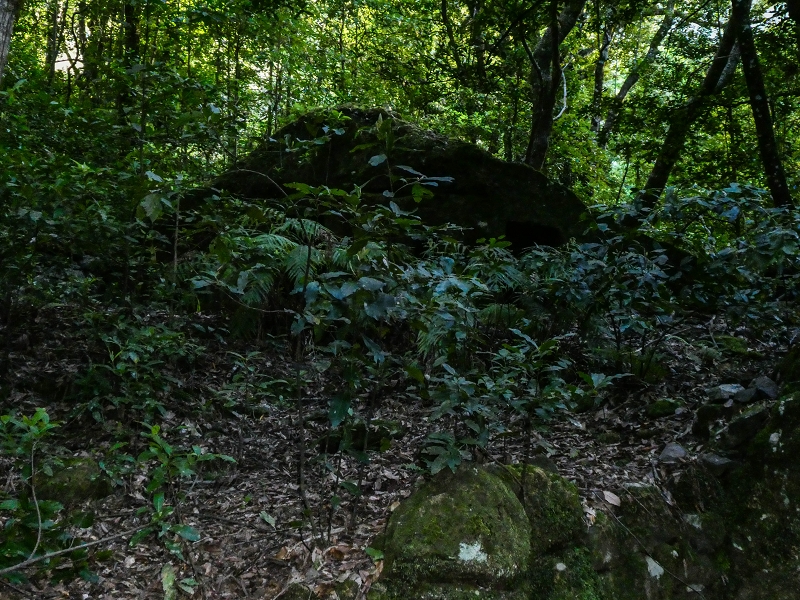 14.05.2019 Wieder einmal in einem meiner Lieblingsgebiete unterwegs: Faja da Nogueira — Zu den Flintstone-Häusern und Abstieg zum Startpunkt — Foto 2