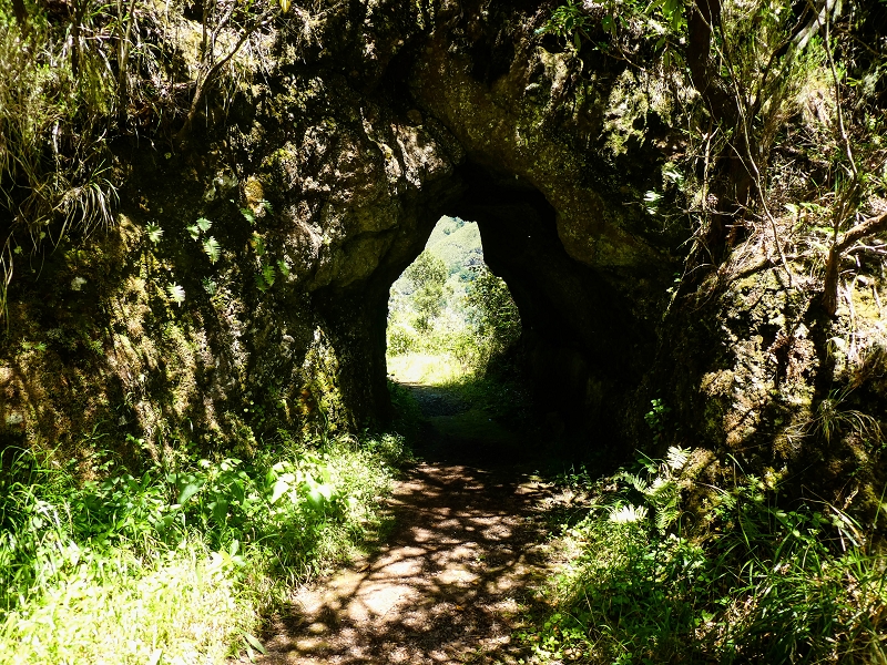 14.05.2019 Wieder einmal in einem meiner Lieblingsgebiete unterwegs: Faja da Nogueira — Auf der Levada bis zum Erdrutsch — Foto 5