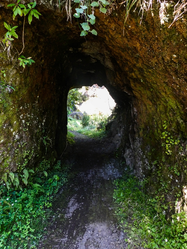 14.05.2019 Wieder einmal in einem meiner Lieblingsgebiete unterwegs: Faja da Nogueira — Auf der Levada bis zum Erdrutsch — Foto 6