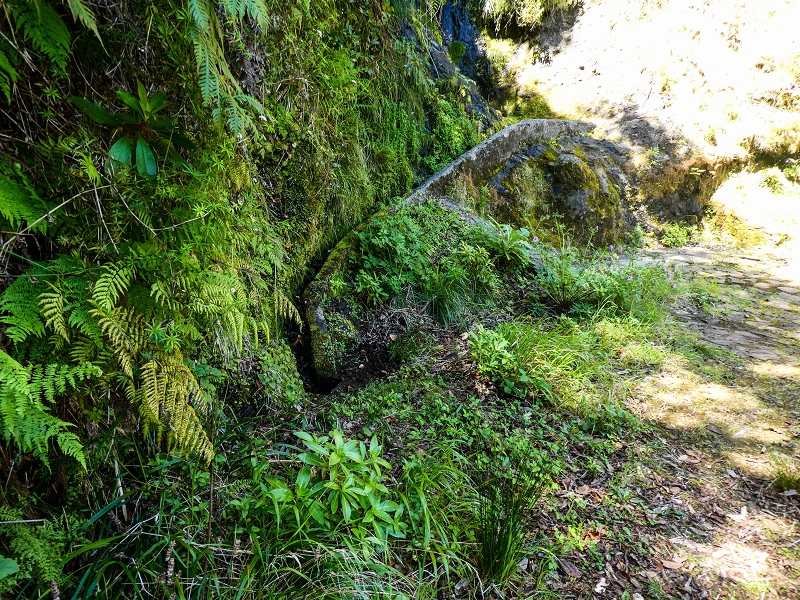 14.05.2019 Wieder einmal in einem meiner Lieblingsgebiete unterwegs: Faja da Nogueira — Auf der Levada bis zum Erdrutsch — Foto 7
