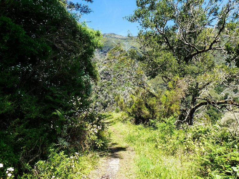 14.05.2019 Wieder einmal in einem meiner Lieblingsgebiete unterwegs: Faja da Nogueira — Auf der Levada bis zum Erdrutsch — Foto 8