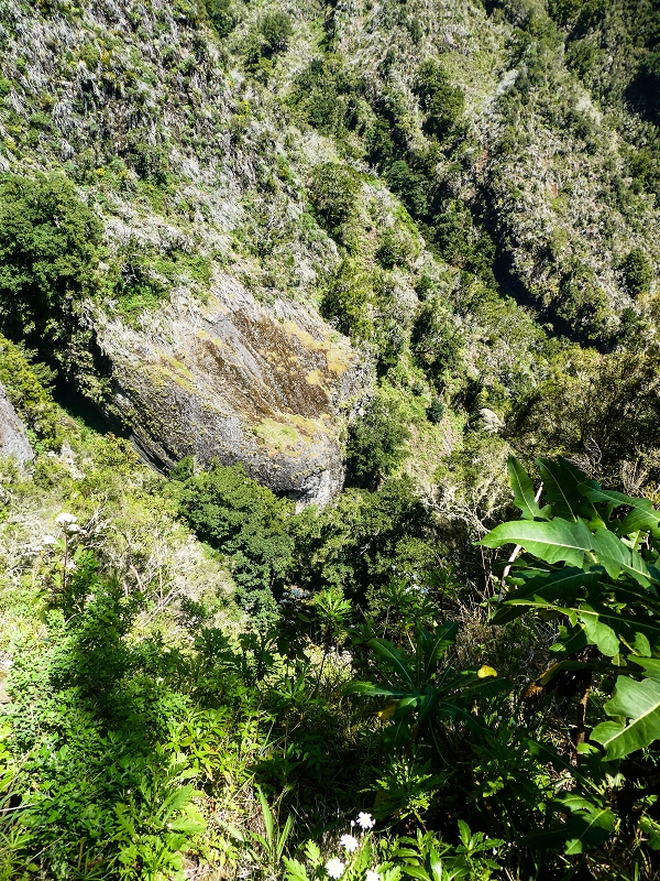 14.05.2019 Wieder einmal in einem meiner Lieblingsgebiete unterwegs: Faja da Nogueira — Auf der Levada bis zum Erdrutsch — Foto 9