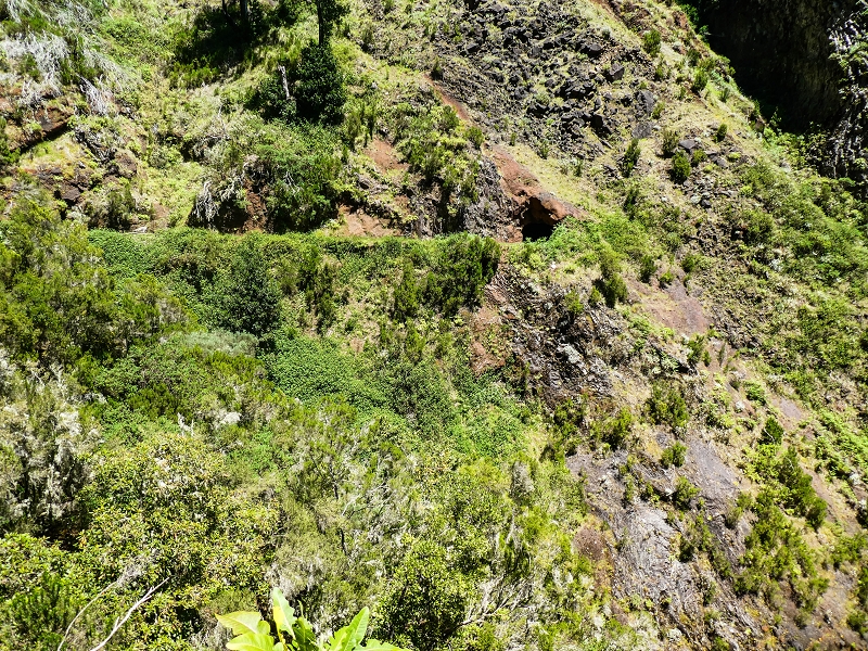 14.05.2019 Wieder einmal in einem meiner Lieblingsgebiete unterwegs: Faja da Nogueira — Auf der Levada bis zum Erdrutsch — Foto 10