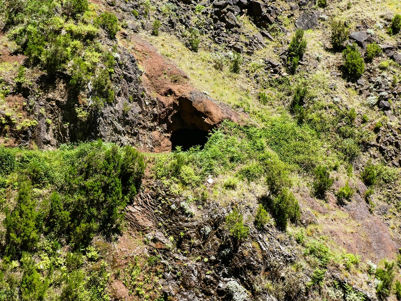 14.05.2019 Wieder einmal in einem meiner Lieblingsgebiete unterwegs: Faja da Nogueira — Auf der Levada bis zum Erdrutsch — Foto 11
