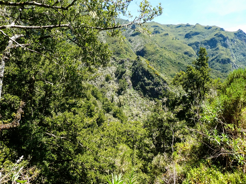 14.05.2019 Wieder einmal in einem meiner Lieblingsgebiete unterwegs: Faja da Nogueira — Auf der Levada bis zum Erdrutsch — Foto 12