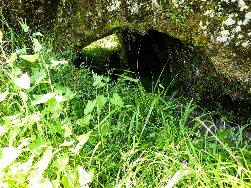 14.05.2019 Wieder einmal in einem meiner Lieblingsgebiete unterwegs: Faja da Nogueira — Zurück zum Levadahaus — Foto 3