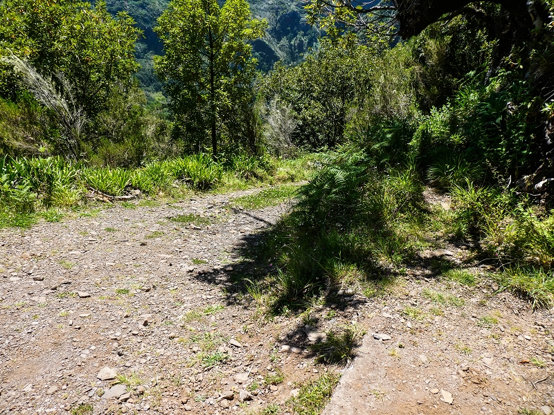 14.05.2019 Wieder einmal in einem meiner Lieblingsgebiete unterwegs: Faja da Nogueira — Zurück zum Levadahaus — Foto 7