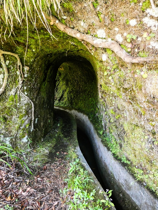 14.05.2019 Wieder einmal in einem meiner Lieblingsgebiete unterwegs: Faja da Nogueira — Der erste Teil bis zur Ribeira da Faja da Nogueira — Foto 1