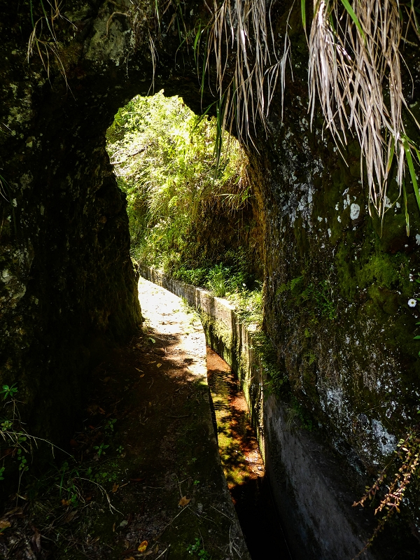 14.05.2019 Wieder einmal in einem meiner Lieblingsgebiete unterwegs: Faja da Nogueira — Der erste Teil bis zur Ribeira da Faja da Nogueira — Foto 2
