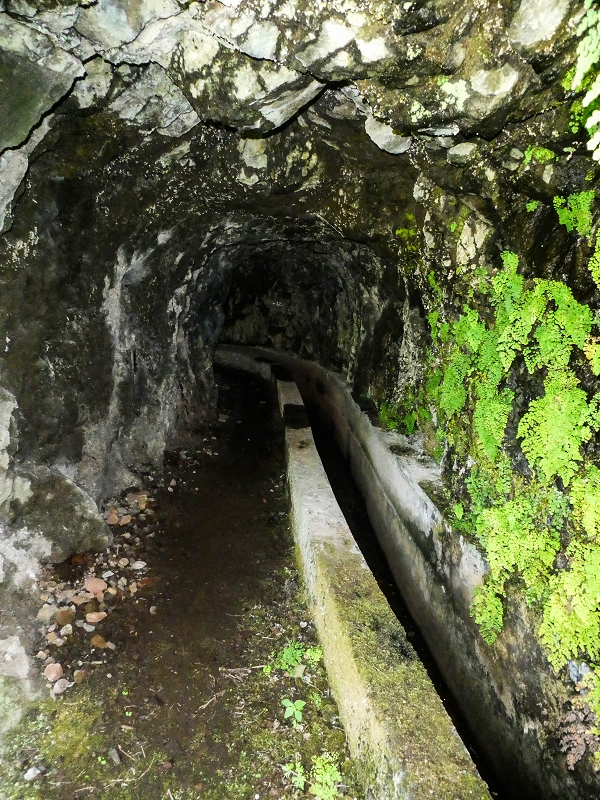 14.05.2019 Wieder einmal in einem meiner Lieblingsgebiete unterwegs: Faja da Nogueira — Der erste Teil bis zur Ribeira da Faja da Nogueira — Foto 4
