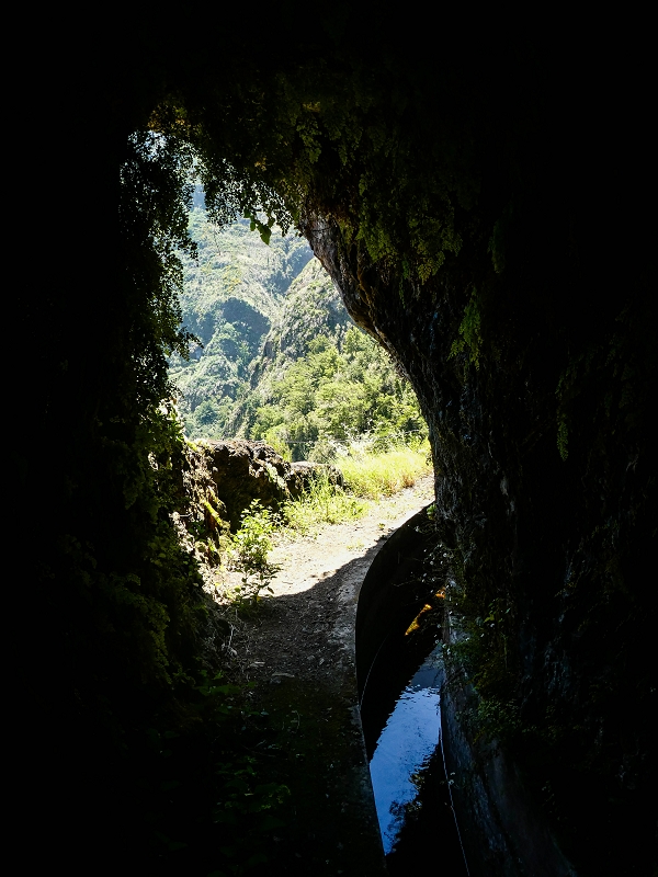 14.05.2019 Wieder einmal in einem meiner Lieblingsgebiete unterwegs: Faja da Nogueira — Der erste Teil bis zur Ribeira da Faja da Nogueira — Foto 5
