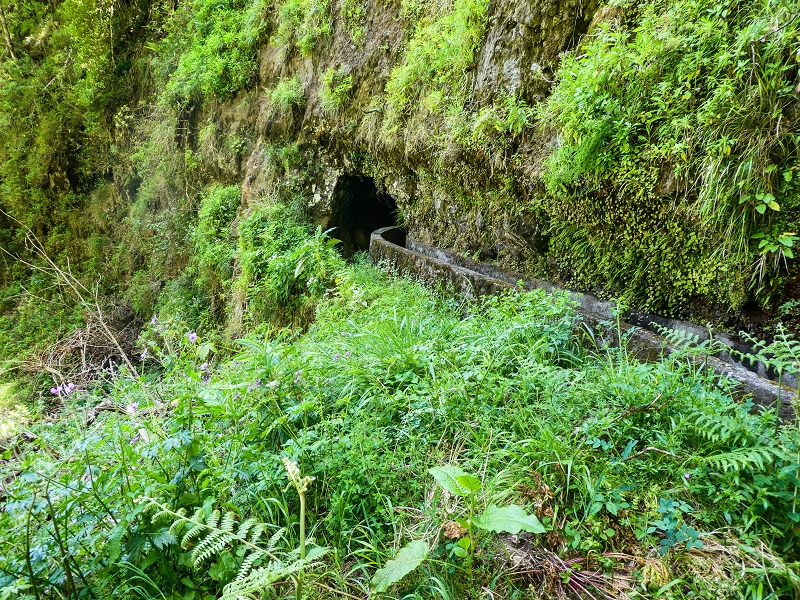 14.05.2019 Wieder einmal in einem meiner Lieblingsgebiete unterwegs: Faja da Nogueira — Der erste Teil bis zur Ribeira da Faja da Nogueira — Foto 7