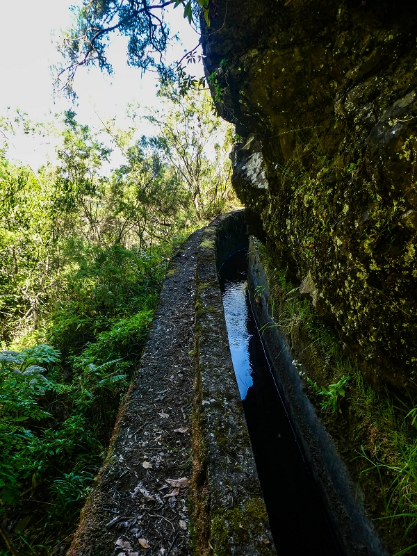14.05.2019 Wieder einmal in einem meiner Lieblingsgebiete unterwegs: Faja da Nogueira — Der erste Teil bis zur Ribeira da Faja da Nogueira — Foto 12