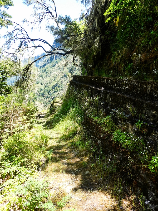 14.05.2019 Wieder einmal in einem meiner Lieblingsgebiete unterwegs: Faja da Nogueira — Der erste Teil bis zur Ribeira da Faja da Nogueira — Foto 16