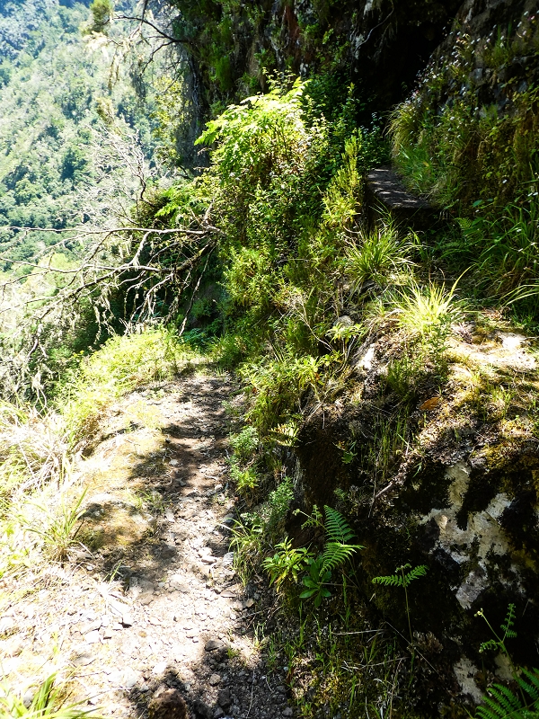 14.05.2019 Wieder einmal in einem meiner Lieblingsgebiete unterwegs: Faja da Nogueira — Der erste Teil bis zur Ribeira da Faja da Nogueira — Foto 17
