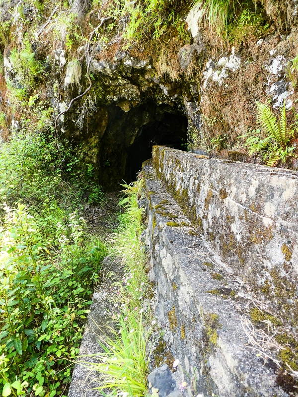 14.05.2019 Wieder einmal in einem meiner Lieblingsgebiete unterwegs: Faja da Nogueira — Der erste Teil bis zur Ribeira da Faja da Nogueira — Foto 18
