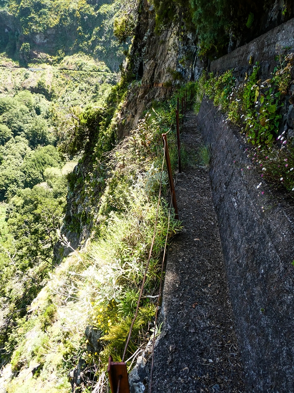14.05.2019 Wieder einmal in einem meiner Lieblingsgebiete unterwegs: Faja da Nogueira — Der erste Teil bis zur Ribeira da Faja da Nogueira — Foto 23