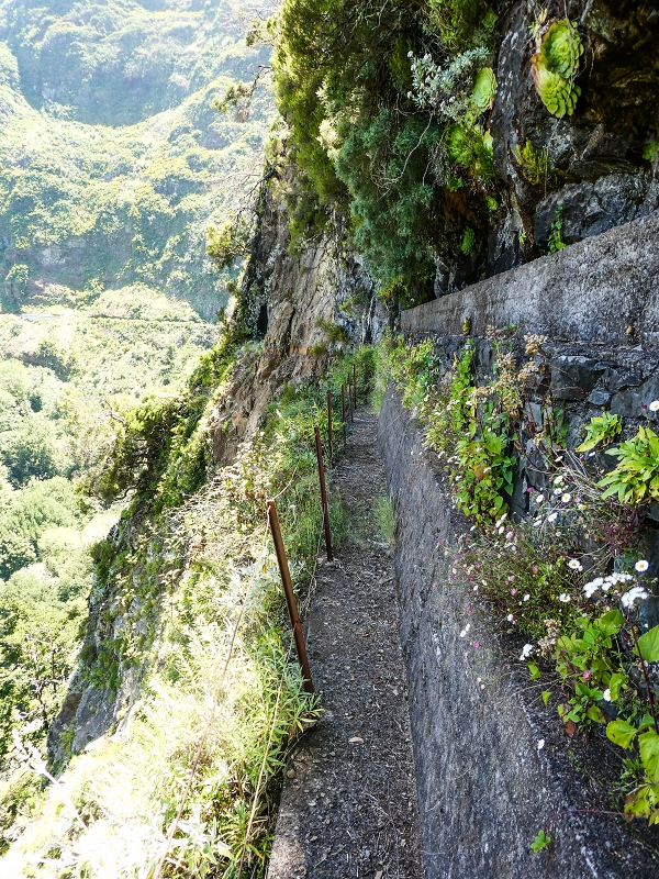 14.05.2019 Wieder einmal in einem meiner Lieblingsgebiete unterwegs: Faja da Nogueira — Der erste Teil bis zur Ribeira da Faja da Nogueira — Foto 24