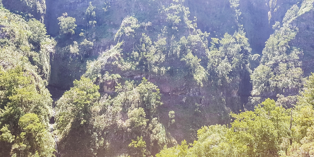14.05.2019 Wieder einmal in einem meiner Lieblingsgebiete unterwegs: Faja da Nogueira — Der erste Teil bis zur Ribeira da Faja da Nogueira — Foto 27