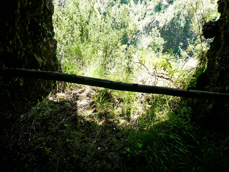 14.05.2019 Wieder einmal in einem meiner Lieblingsgebiete unterwegs: Faja da Nogueira — Der erste Teil bis zur Ribeira da Faja da Nogueira — Foto 38