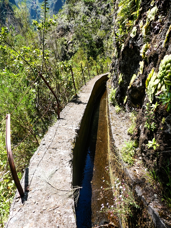 14.05.2019 Wieder einmal in einem meiner Lieblingsgebiete unterwegs: Faja da Nogueira — Der erste Teil bis zur Ribeira da Faja da Nogueira — Foto 39