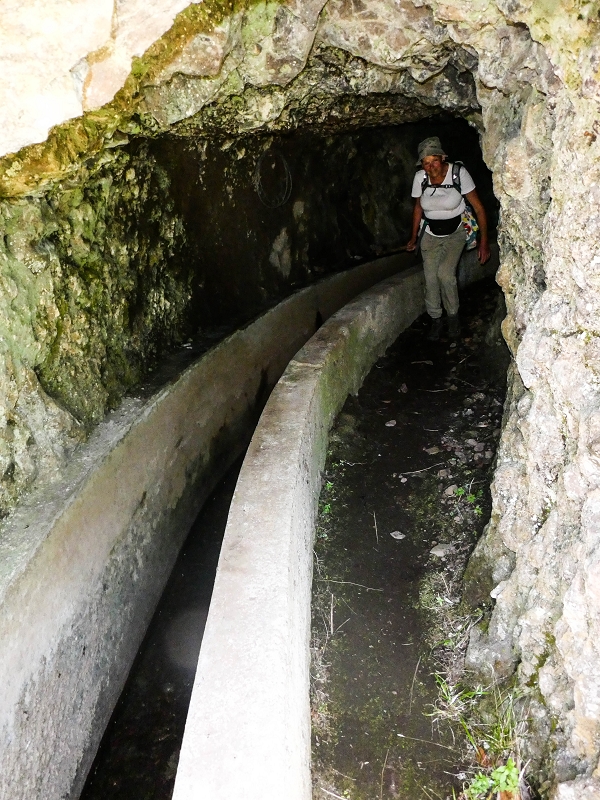 14.05.2019 Wieder einmal in einem meiner Lieblingsgebiete unterwegs: Faja da Nogueira — Der erste Teil bis zur Ribeira da Faja da Nogueira — Foto 40