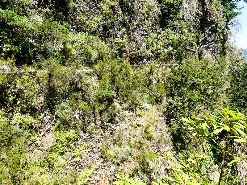 14.05.2019 Wieder einmal in einem meiner Lieblingsgebiete unterwegs: Faja da Nogueira — Der erste Teil bis zur Ribeira da Faja da Nogueira — Foto 43