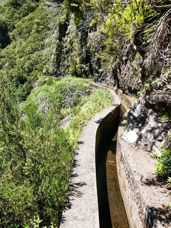 14.05.2019 Wieder einmal in einem meiner Lieblingsgebiete unterwegs: Faja da Nogueira — Der erste Teil bis zur Ribeira da Faja da Nogueira — Foto 45