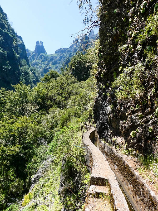14.05.2019 Wieder einmal in einem meiner Lieblingsgebiete unterwegs: Faja da Nogueira — Der erste Teil bis zur Ribeira da Faja da Nogueira — Foto 46
